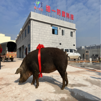 南寧維一新廠開業入伙儀式